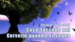 Cosa succede nel cervello quando si sogna