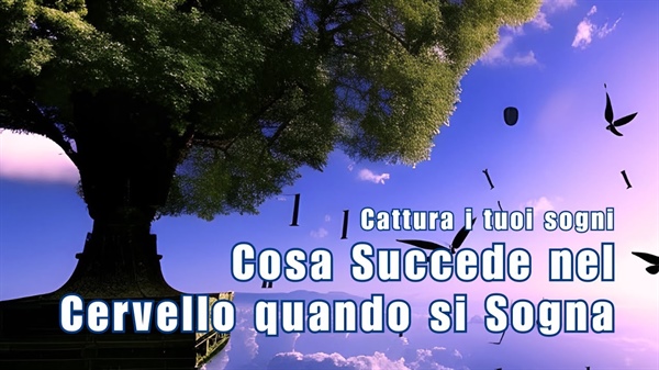 Cosa succede nel cervello quando si sogna